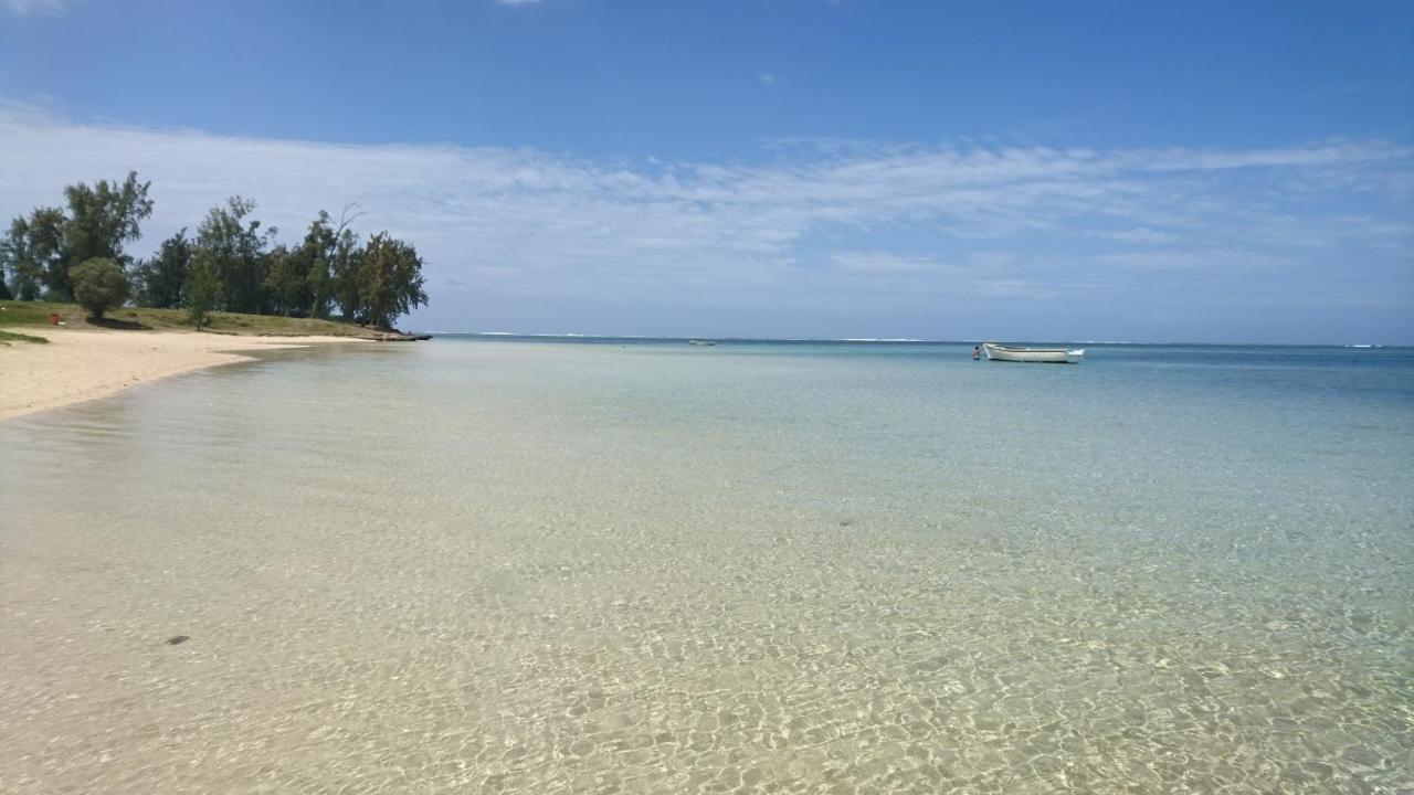 Sweet Island Studio Ocean Rivière Noire Dış mekan fotoğraf